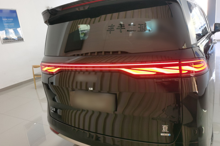 BYD Xia 2024 imagen de coche #6