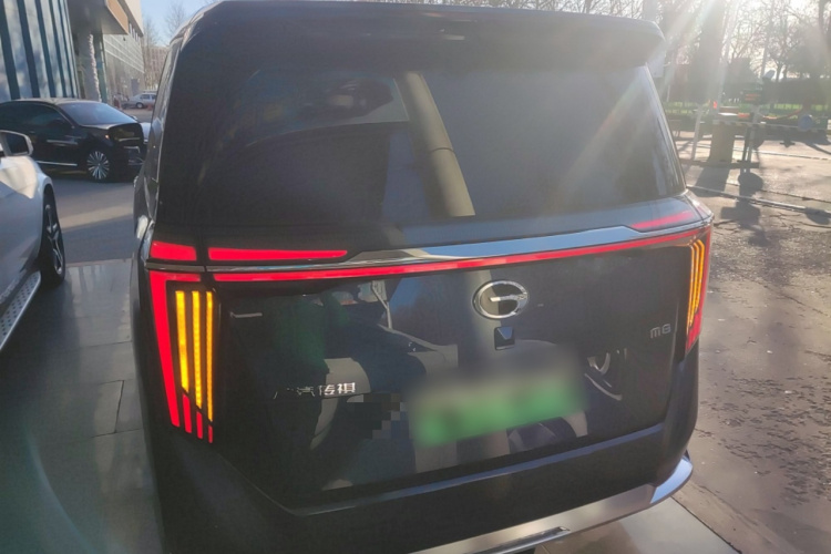 GAC Trumpchi Xiangwang M8 2025 car image #6