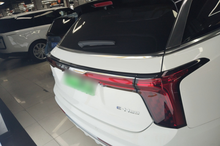 HongQi E-HS9 2023 #6 HongQi E-HS9 2023 car image #6