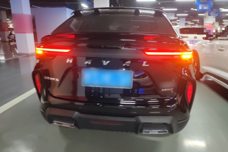 Haval H6S 2022 car image #6