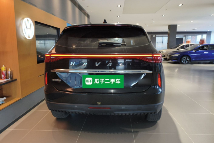 Haval H6 2022 car image #6