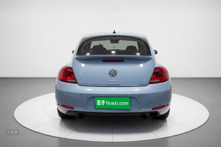 Volkswagen Beetle 2014 immagine di auto #6