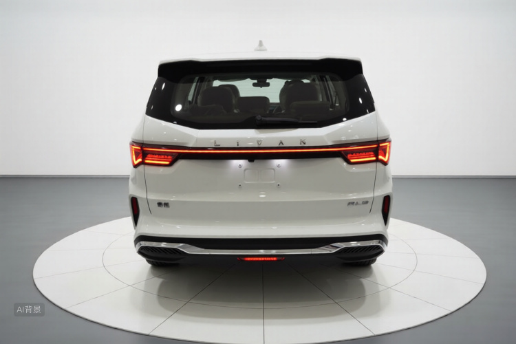 睿蓝汽车 睿蓝8 2024 汽车图片 #6