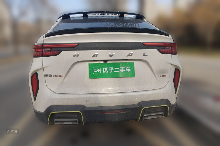 Haval H6S 2022 car image #6