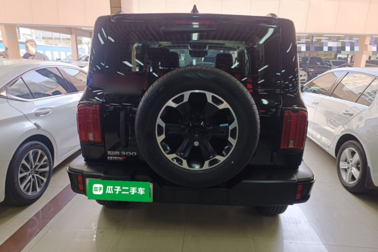 Tank 300 New Energy 2025 imagem de carro #6