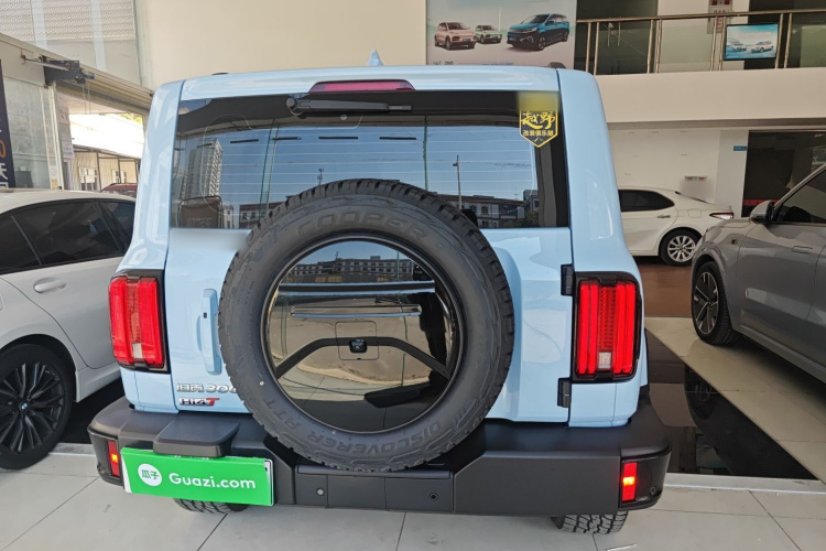 Tank 300 New Energy 2024 car image #6