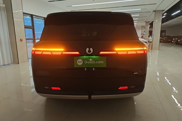 Denza N9 2025 car image #6