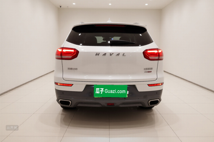 Haval H6 2017 car image #6