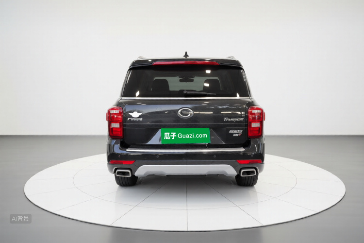 GAC Trumpchi GS8 2019 car image #6