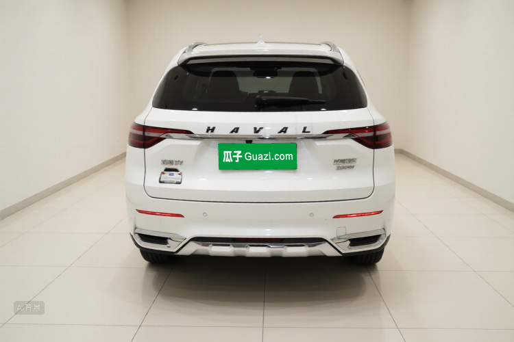 Haval F7 2019 car image #6