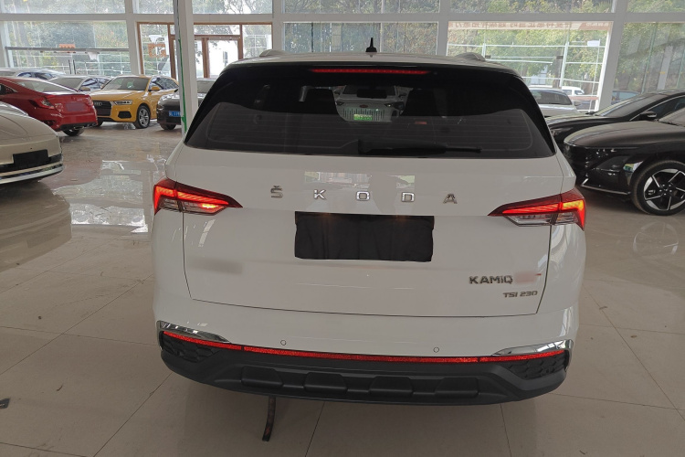 Skoda Kamiq 2020 car image #6