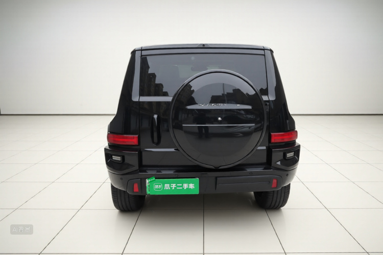 Tank 700 New Energy 2025 #6 Tank 700 New Energy 2025 car image #6