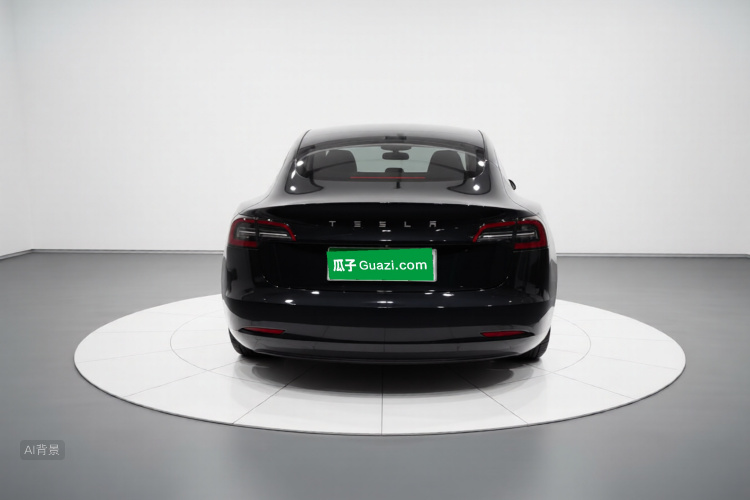 Tesla Model 3 2021 car image #6