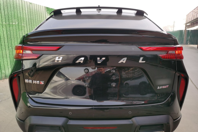 Haval H6S 2023 immagine di auto #6