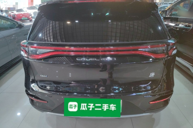 BYD Tang New Energy 2023 #6 BYD Tang New Energy 2023 car image #6