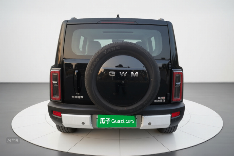 Haval Raptor New Energy 2025 #6 Haval Raptor New Energy 2025 car image #6