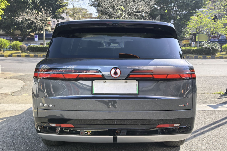 Denza N9 2025 car image #6