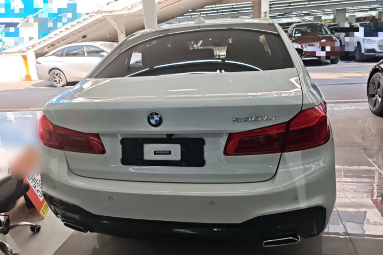 BMW 5 Series 2018 car image #6