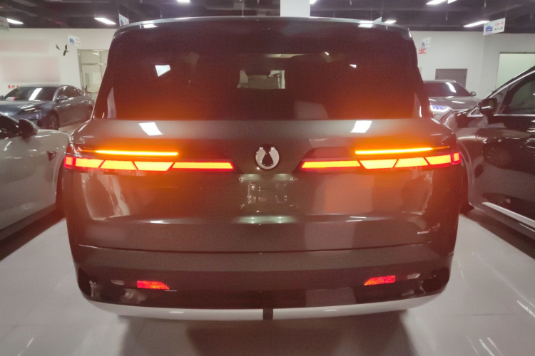 Denza N9 2025 #6 Denza N9 2025 car image #6