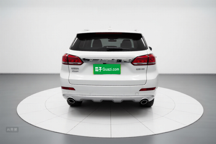 Haval H6 Coupe 2018 car image #6