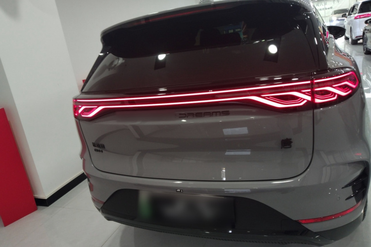 BYD Tang New Energy 2024 car image #6