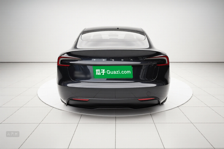 Tesla Model 3 2024 car image #6