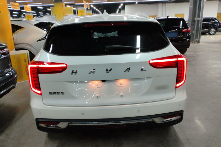 Haval Jolion 2021 imagem de carro #6