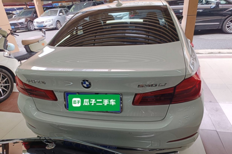 BMW 5 Series 2020 car image #6