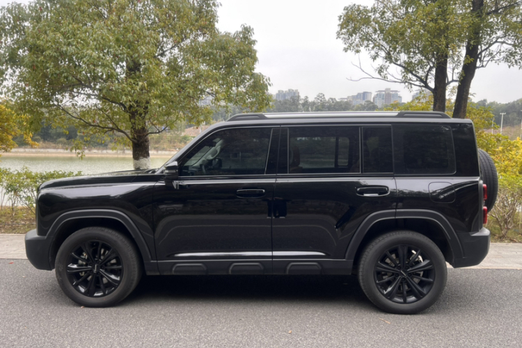 Haval Raptor New Energy 2023 car image #6