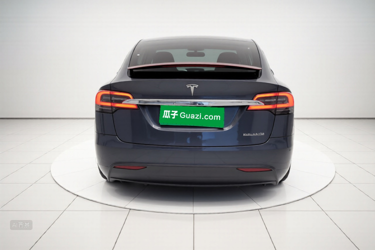 特斯拉 Model X 2019 汽车图片 #6