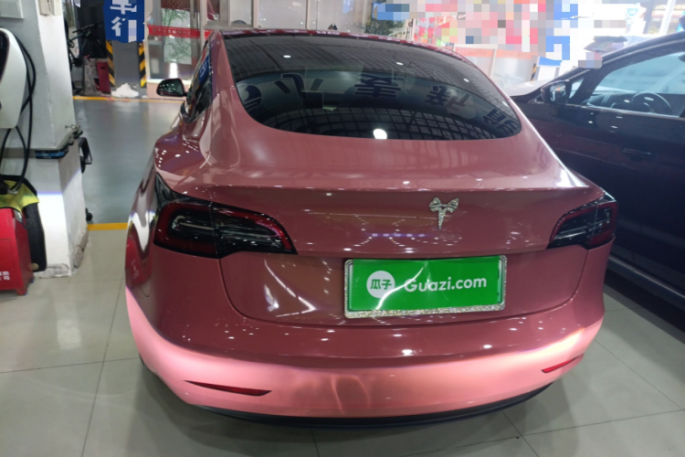 Tesla Model 3 2023 #6 Tesla Model 3 2023 car image #6