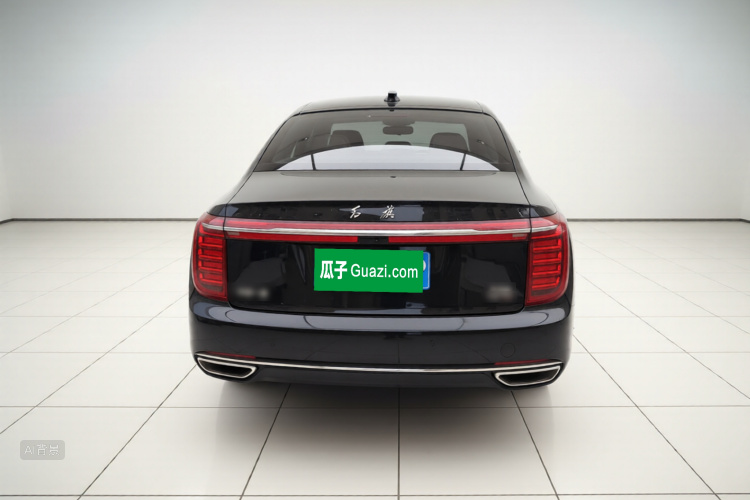 HongQi H9 2021 car image #6