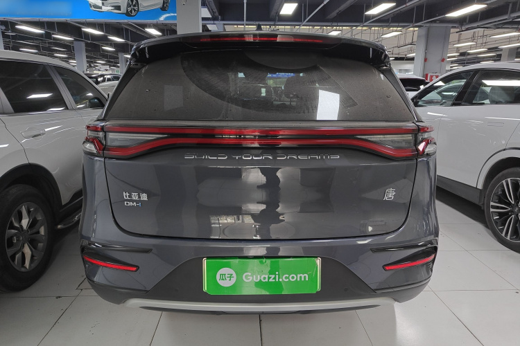 BYD Tang New Energy 2022 car image #6