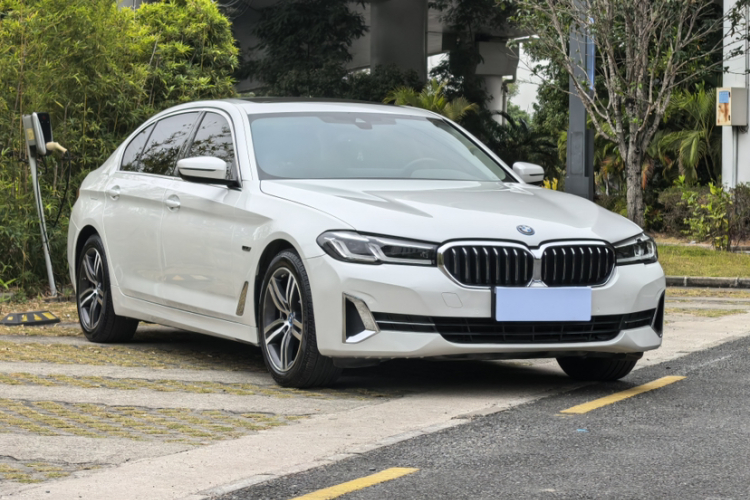 BMW 5 Series New Energy 2021 car image #6