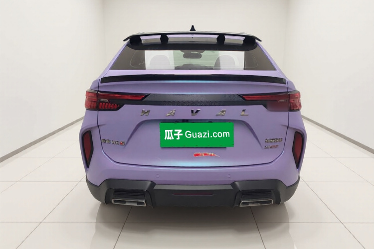 Haval H6S 2022 immagine di auto #6