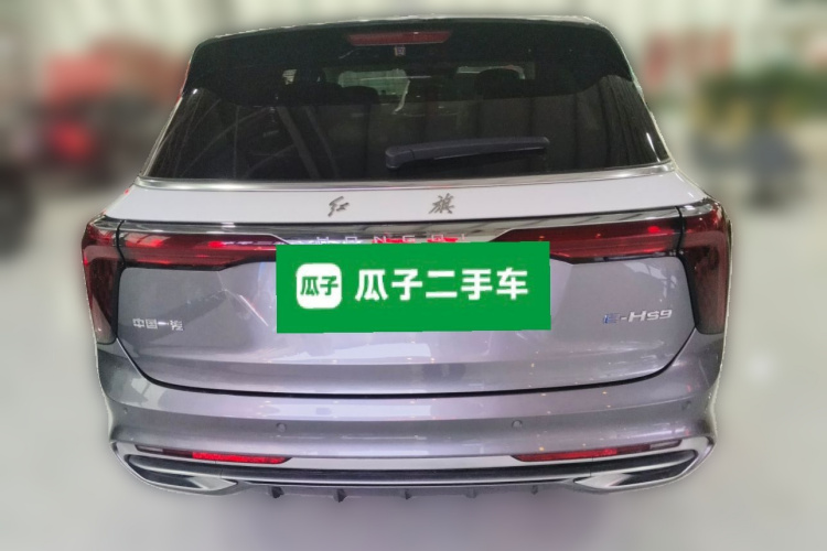 HongQi E-HS9 2023 car image #6