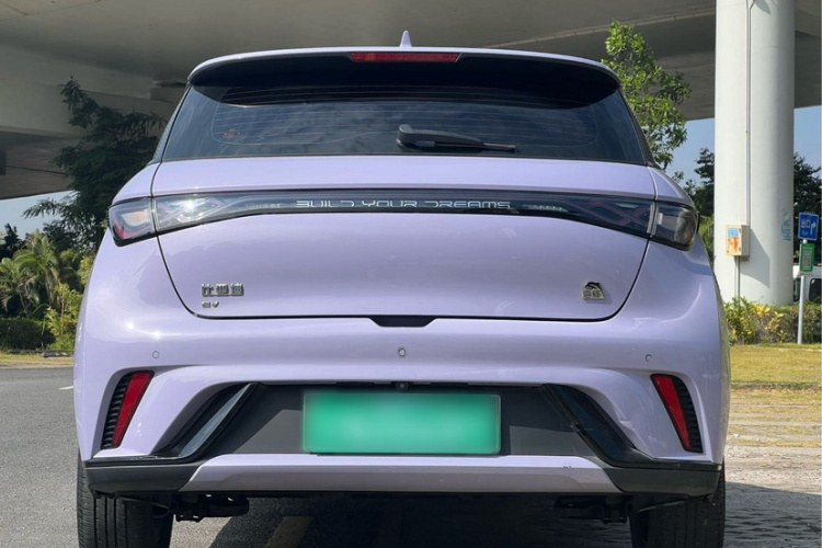 BYD Dolphin 2023 car image #6