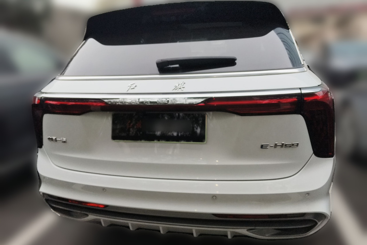 HongQi E-HS9 2023 imagem de carro #6