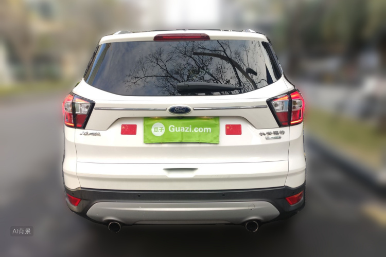 Ford Kuga 2017 car image #6