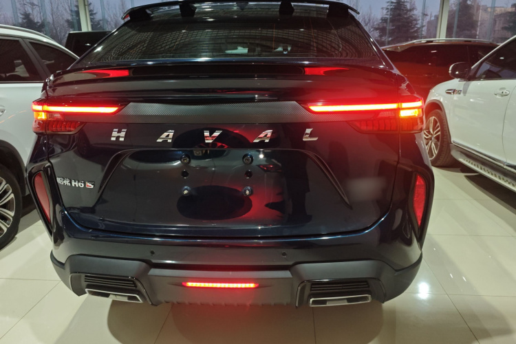 Haval H6S 2022 immagine di auto #6