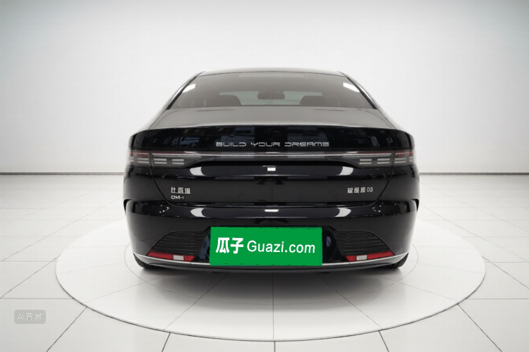 比亚迪 驱逐舰05 2024 汽车图片 #6
