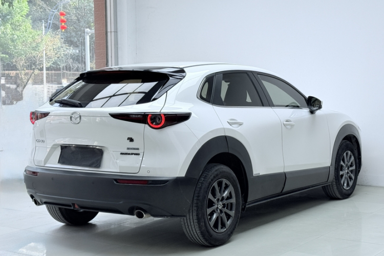 Mazda CX-30 2021 car image #6
