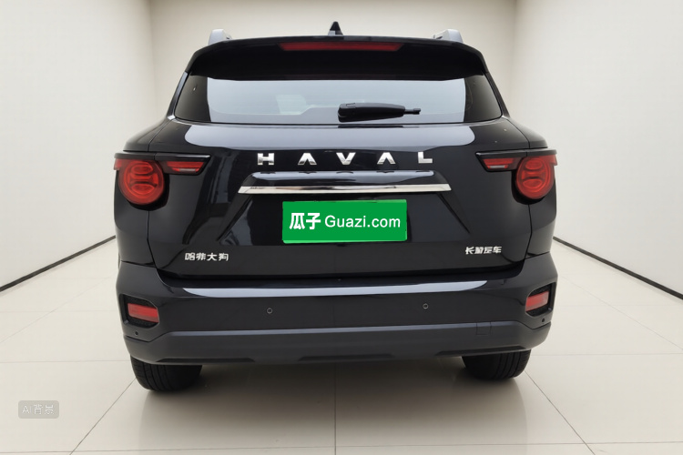 Haval Dargo 2 2023 car image #6