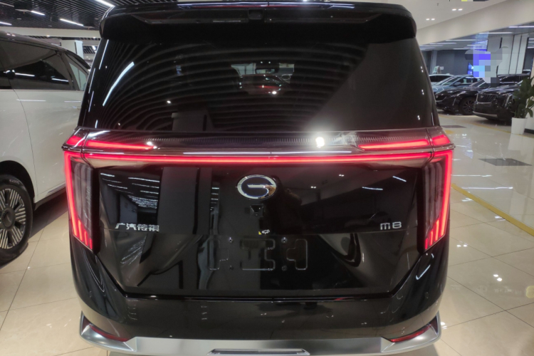 GAC Trumpchi Xiangwang M8 2025 car image #6