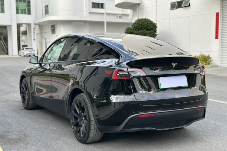 Tesla Model Y 2021 car image #6
