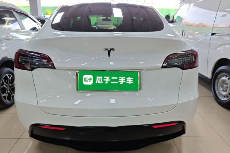 Tesla Model Y 2021 car image #6