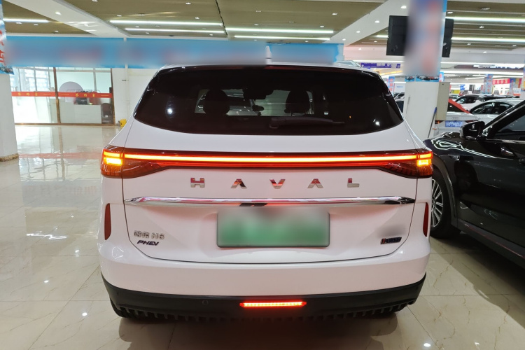 Haval H6 2022 car image #6