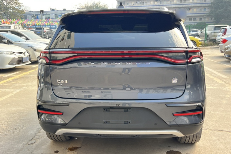 BYD Tang New Energy 2023 car image #6