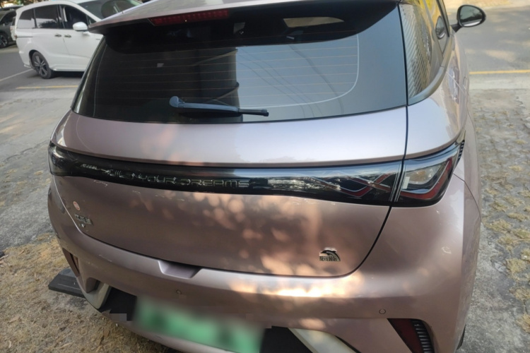 BYD Dolphin 2023 car image #6