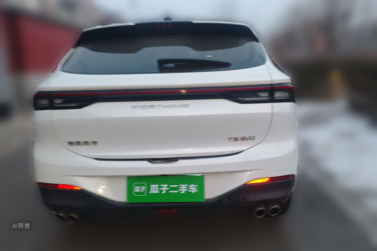 Forthing T5 EVO 2021 immagine di auto #6